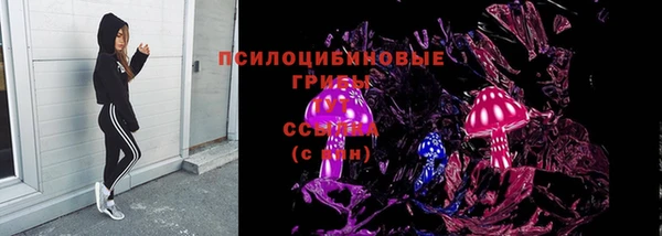 прущий лед Армянск